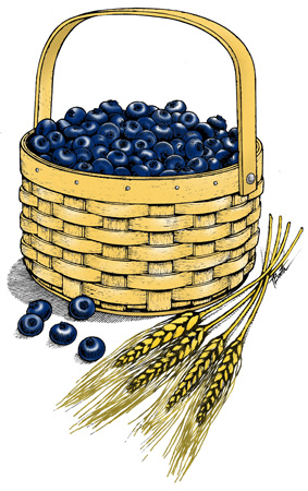 Berries