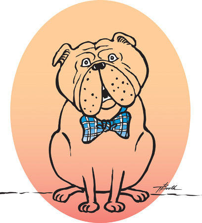 Bulldog