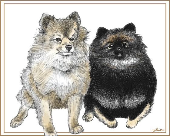 Dogs